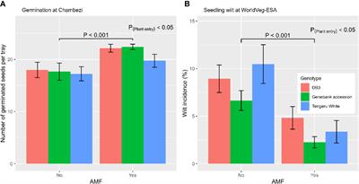 Effects of transplanting and AMF inoculation on the fruit yield of African eggplants (Solanum aethiopicum and Solanum anguivi) in Tanzania